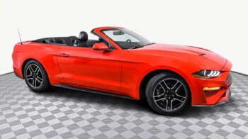 Rent Mustang in Punta Cana Airport
